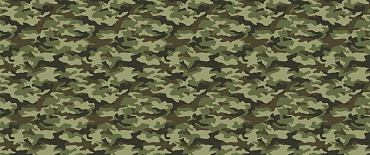 Камуфляж 2390 вид 1