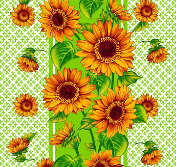 product-photo